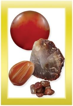 Crystals & Stones Learning Cards - Living Magick Learning Card Series - Self Study Flash Cards