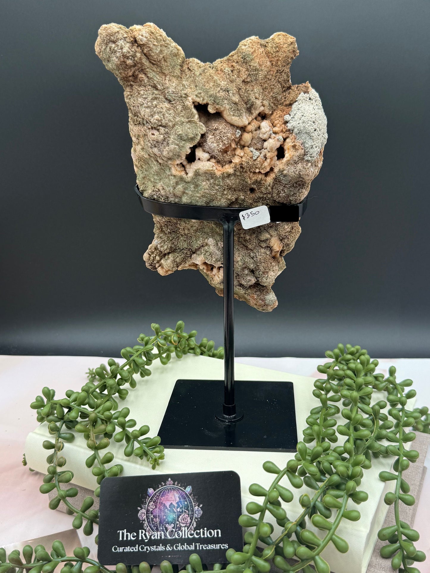 Pink Amethyst Freeform Geode on Stand– 8.5” | 1.01 Kg