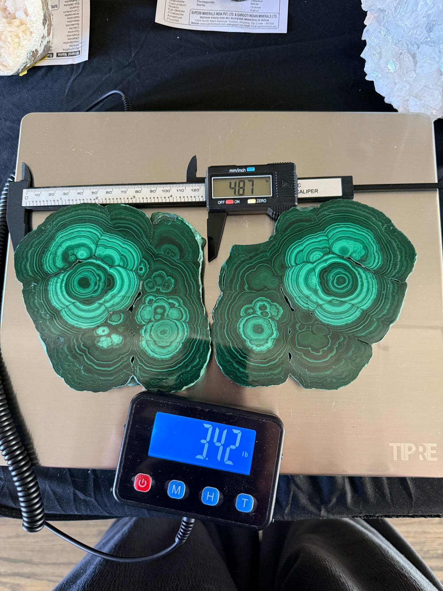 Malachite Wings on custom stand
