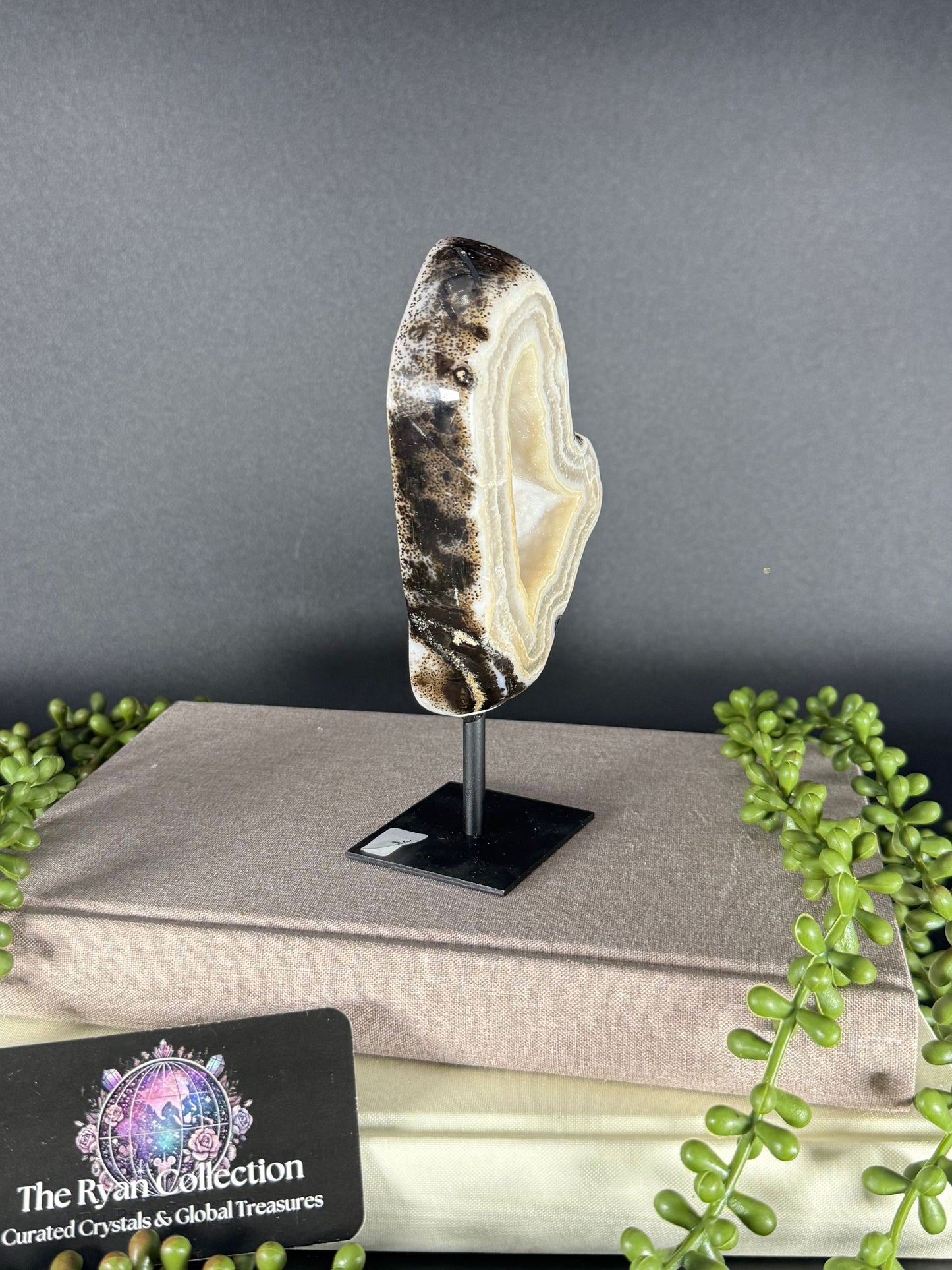 Brazilian Agate Geode – 5.18” | .38 Kg
