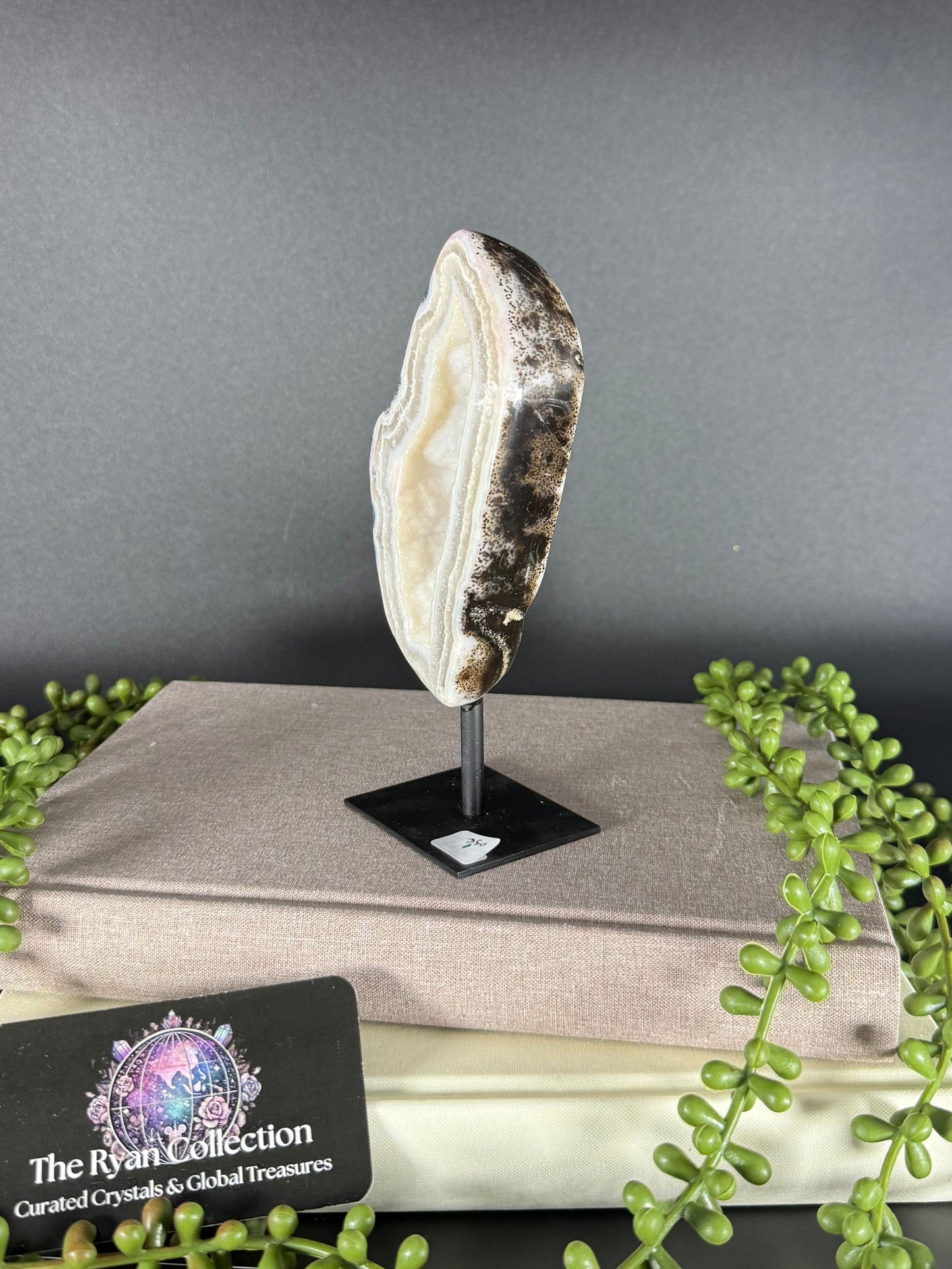 Brazilian Agate Geode – 5.18” | .38 Kg