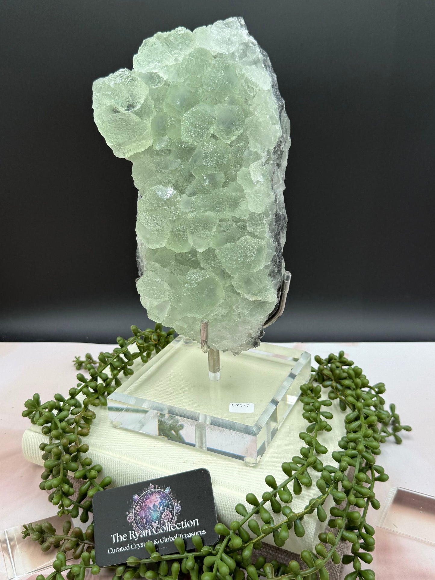 Rare Green Fluorite Freeform on Stand – 10.5” | 5.06 Kg