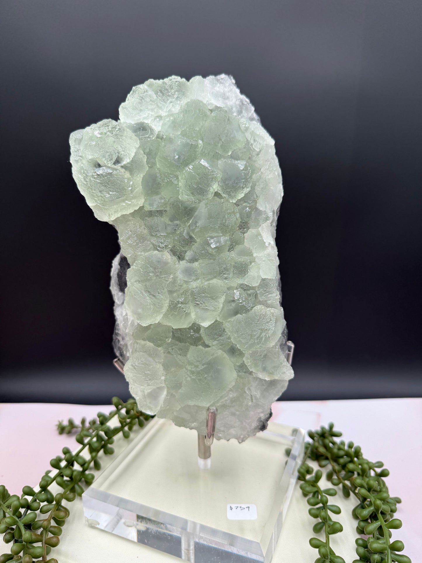 Rare Green Fluorite Freeform on Stand – 10.5” | 5.06 Kg