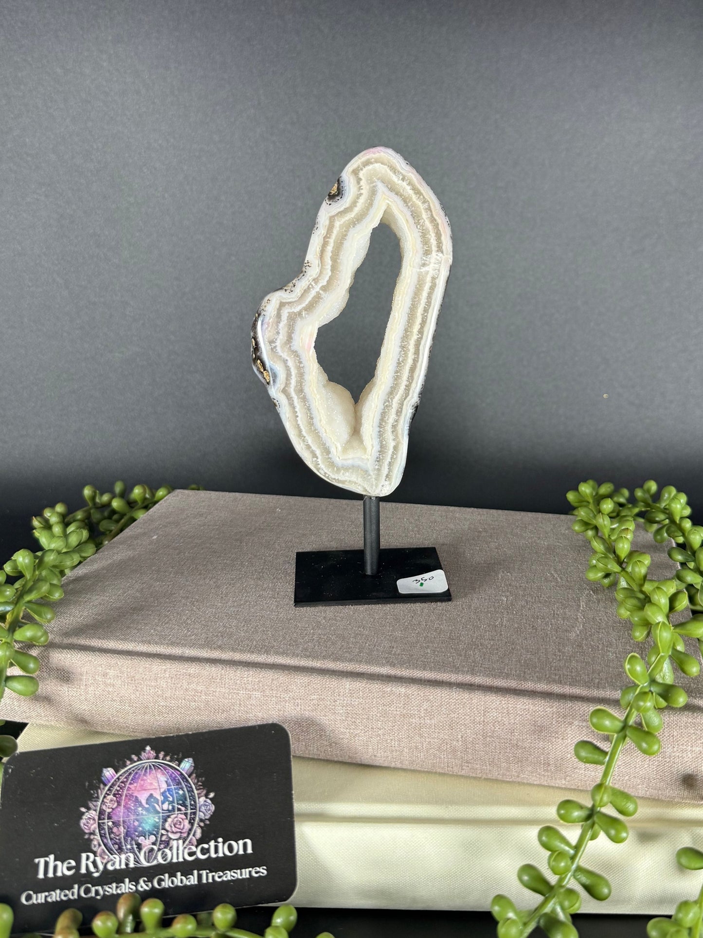 Brazilian Agate Geode – 5.18” | .38 Kg