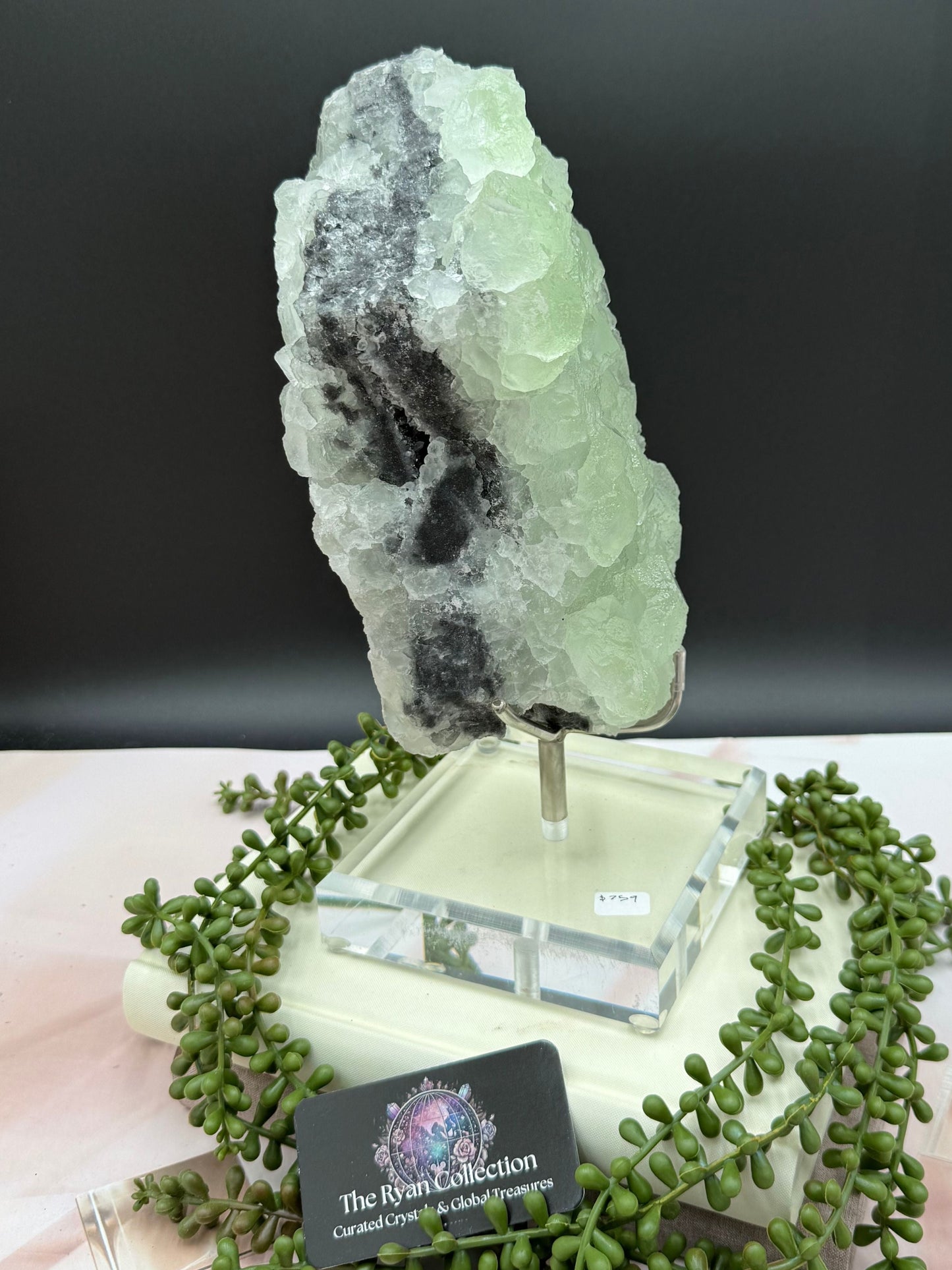 Rare Green Fluorite Freeform on Stand – 10.5” | 5.06 Kg