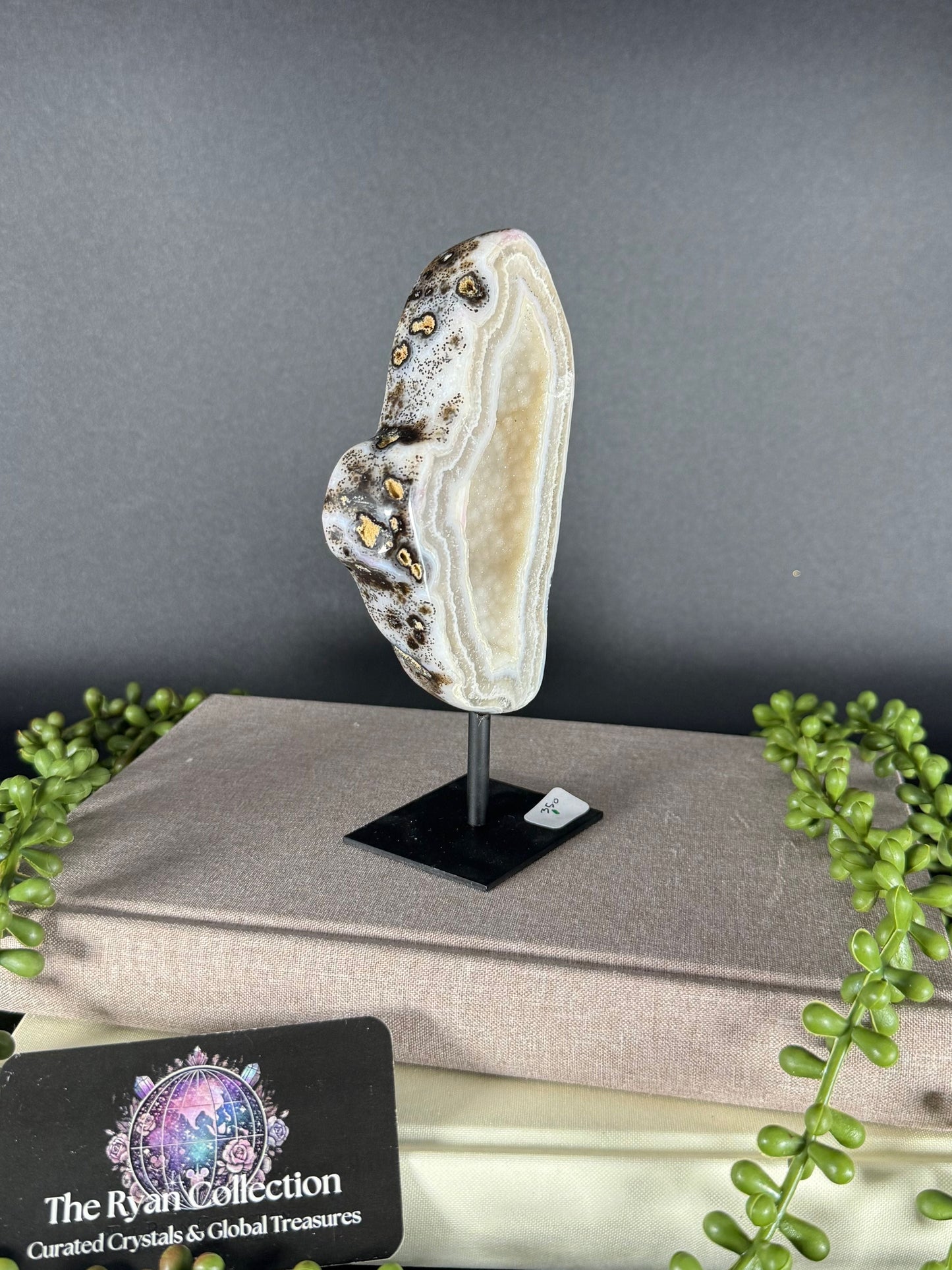 Brazilian Agate Geode – 5.18” | .38 Kg