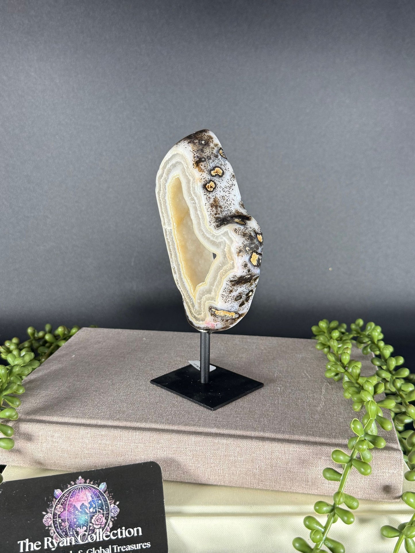 Brazilian Agate Geode – 5.18” | .38 Kg
