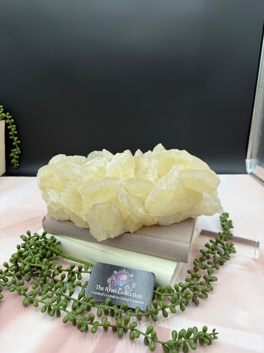 Museum-Quality Honey Calcite Cluster – 13” | 8.03 Kg
