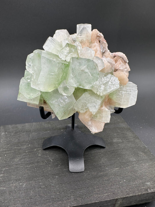 Elite Museum-Grade Apophyllite with Stilbite - Nasik, India