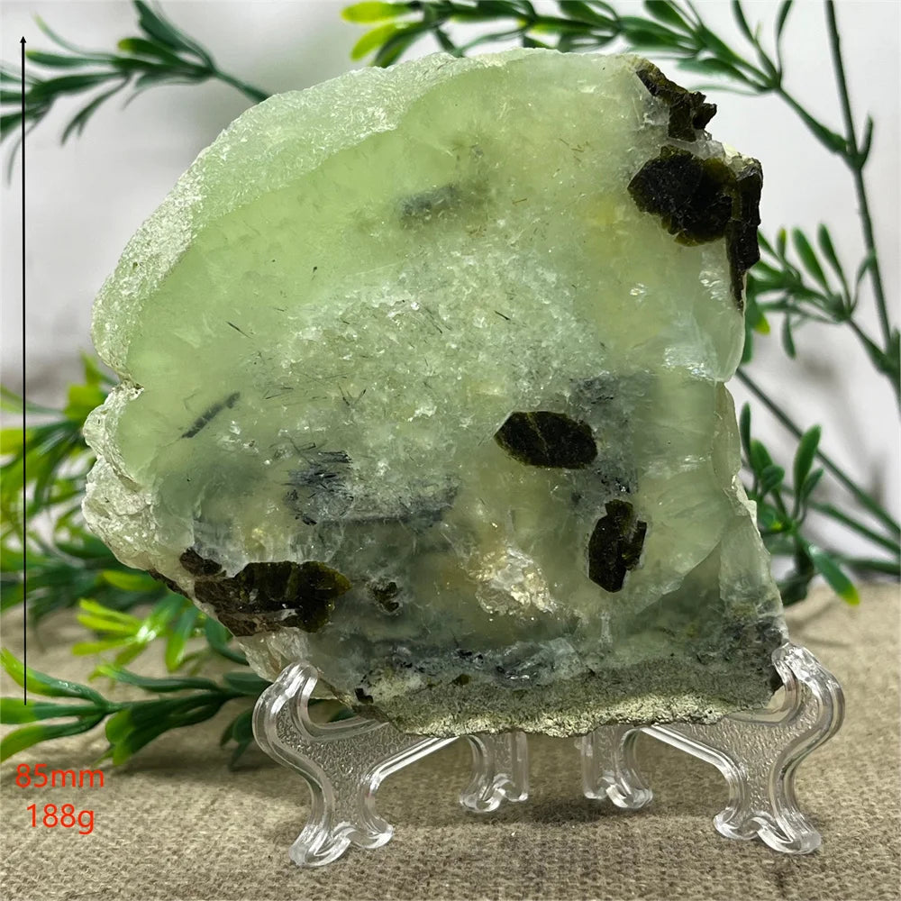 S0db4a344c036443c92c8c1e8bccdbc72s