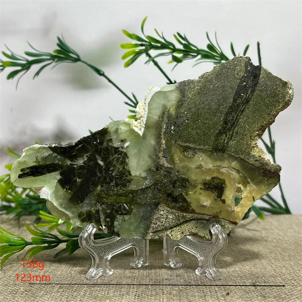 S109ab343800d41daa8f0dfc5e649a57fT