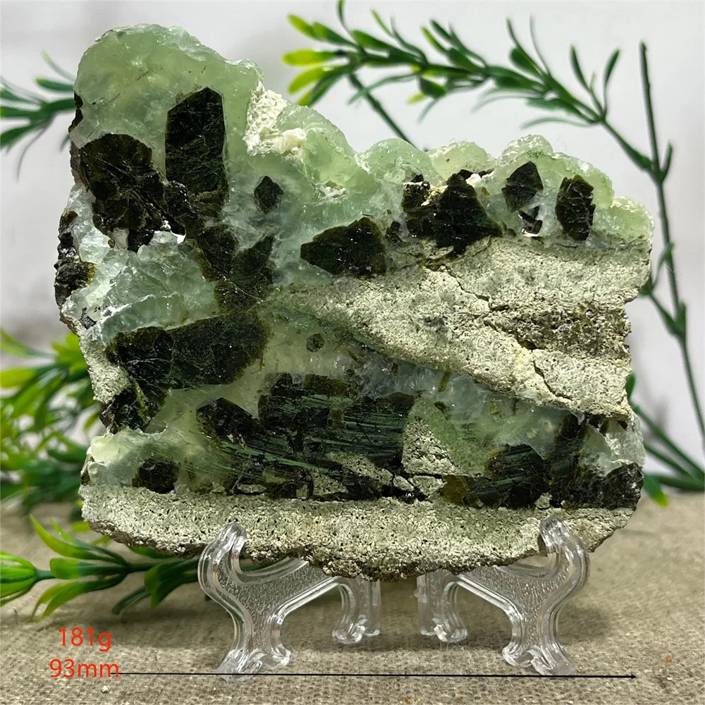 S2000d9d6858949efbd5ab78a039b619d6