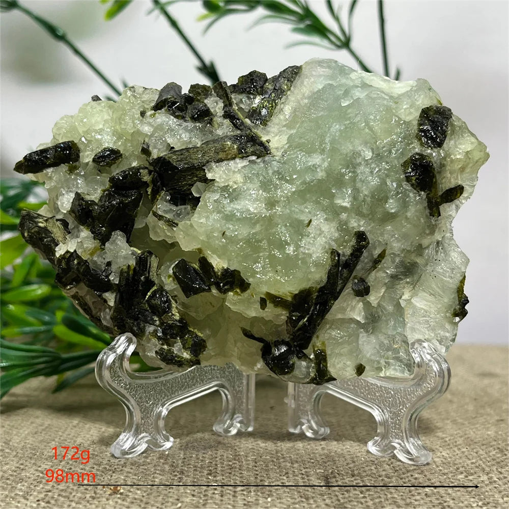 S37d2991c6d1c4dc1972dd59aeb9570376