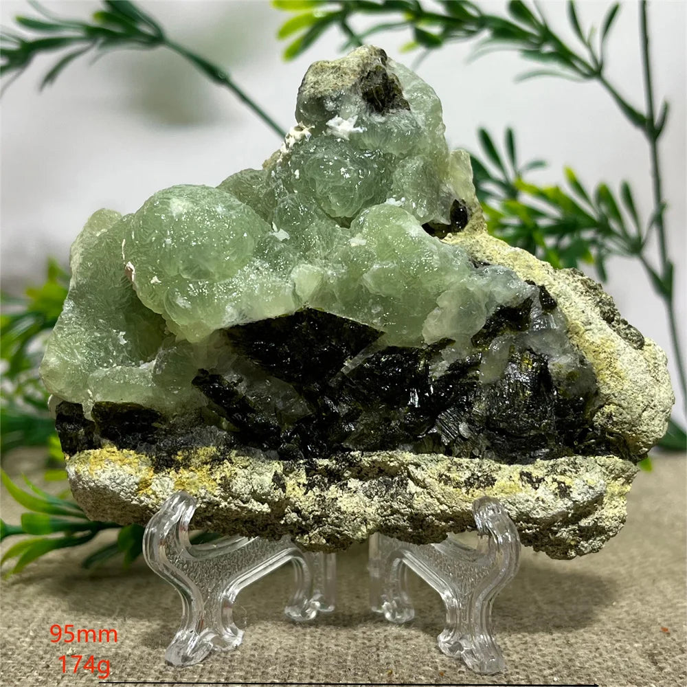 S3d9186c8e0ae4b8dae07f08204203c42a