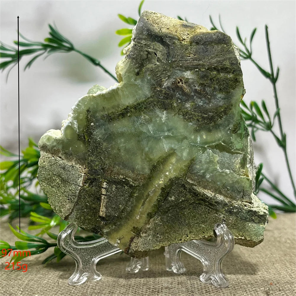 S8df5dc11ce114ef985e345835ad68d64q