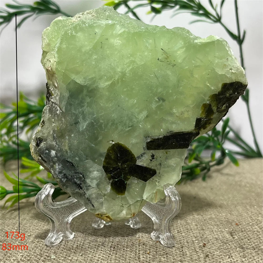 S9361cd71ef3247829c8b66362067a3a9y