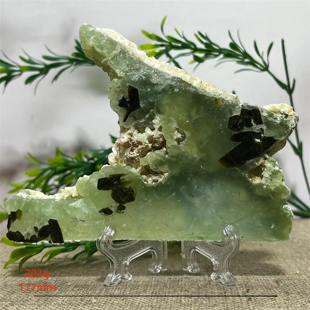 S976fe8c500b042728d4c2b46538c96aeR