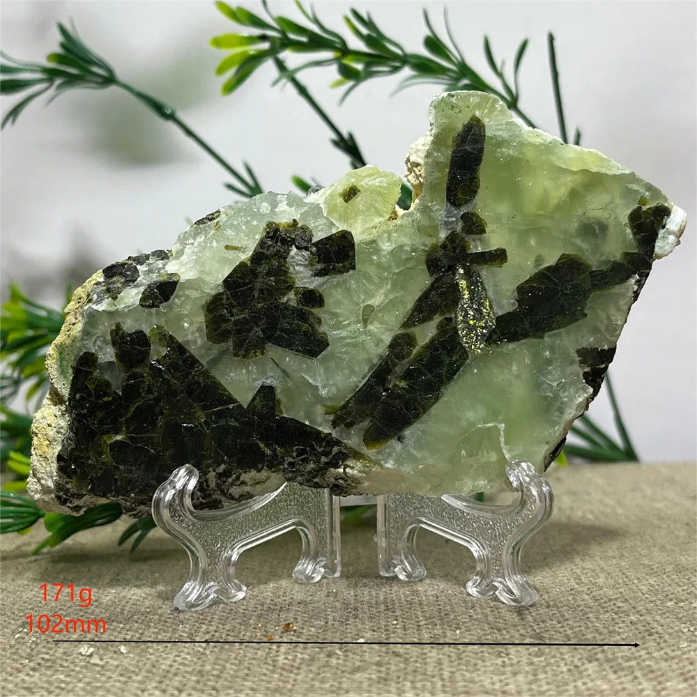 Sa8082c8076a5461eb9d4ee89f3f11b73L