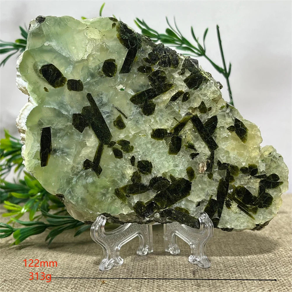 Scb8d727f6949461bbe6c39dea311b945o