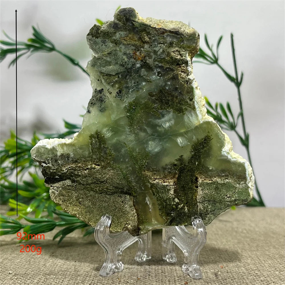 Scdd69e0bd99642c9b9d9cd34b169fc2cT