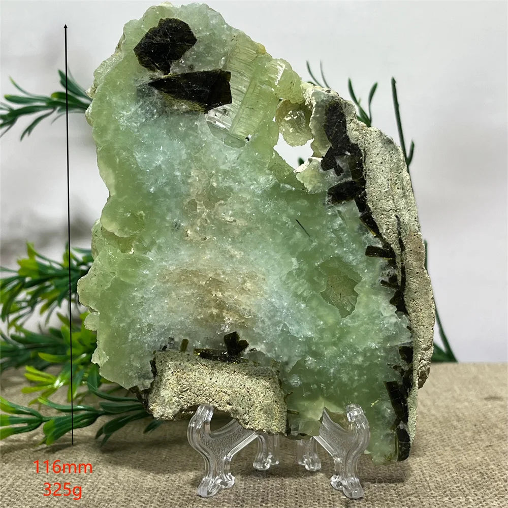 Se43b5a2fa5d74436ae57abd3d76377fcR