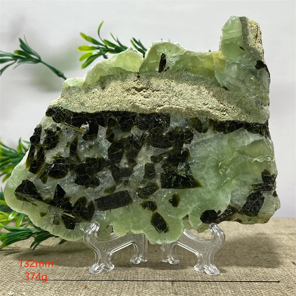 Seca47228a88543e5839686d356c1ead14