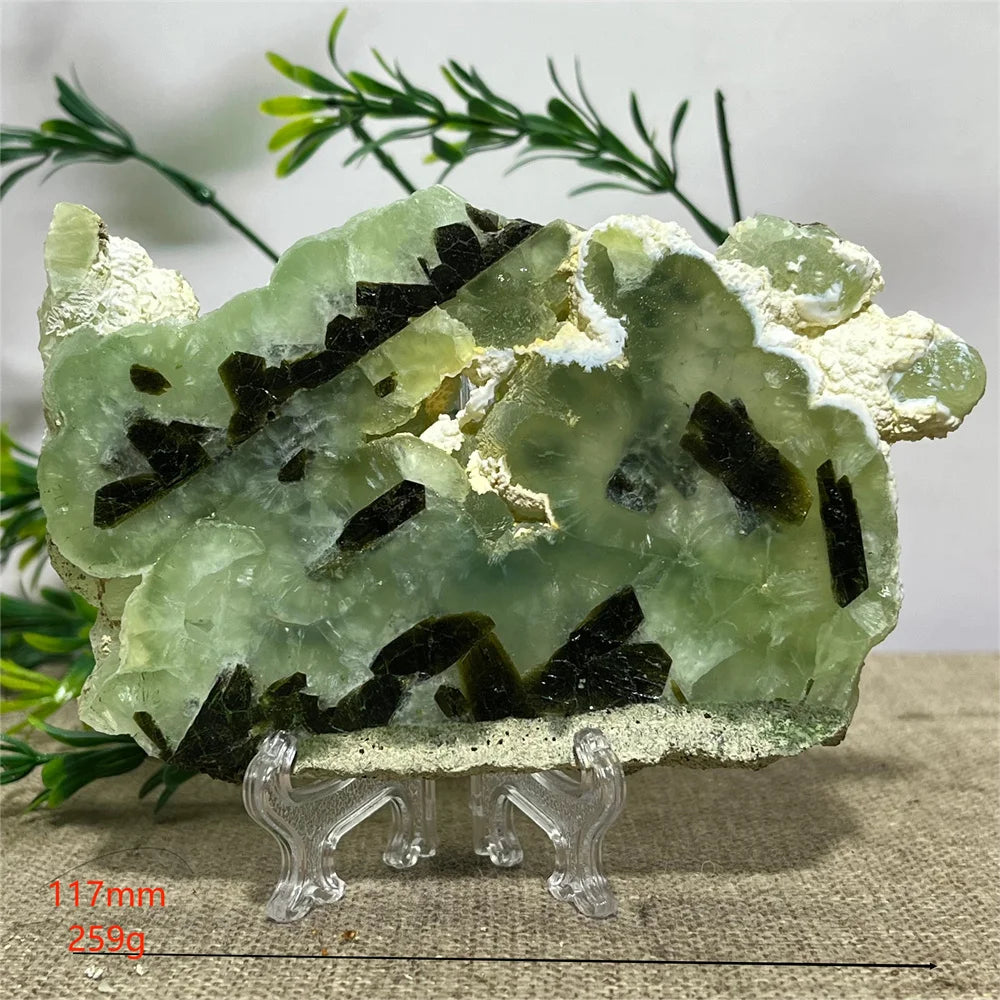 Sfbe79a7914f749e6ab6b7268e9fe0ed28